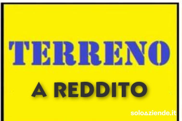 LOTTO A REDDITO IN VENDITA A MESTRE - Soloaziende.it